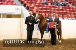 19BUCK_00489 proof