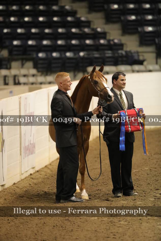 Proof 19BUCK_00490