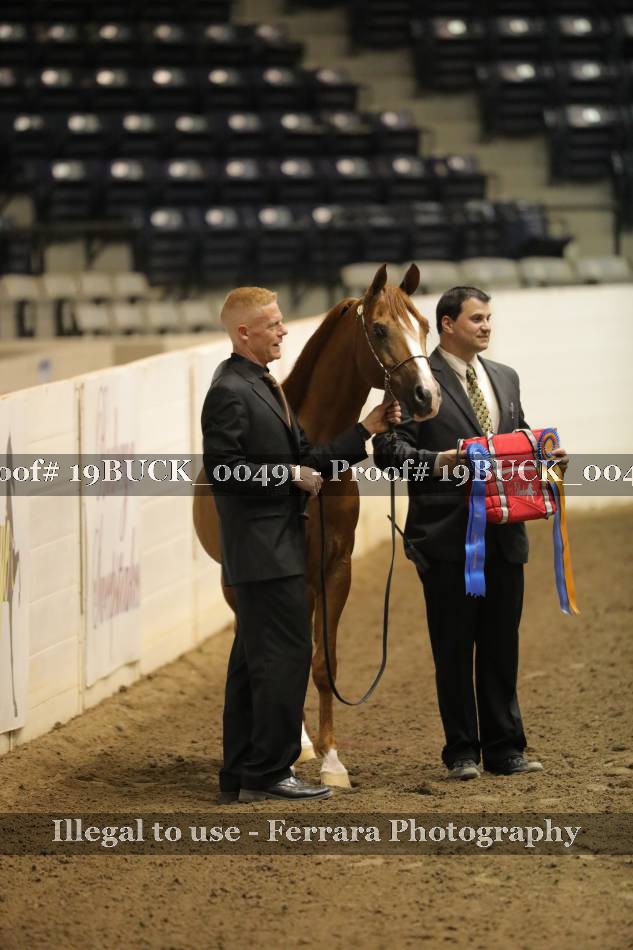 Proof 19BUCK_00491