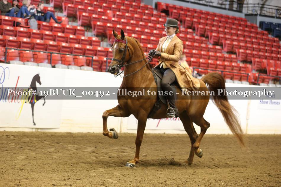 Proof 19BUCK_00492