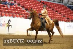 19BUCK_00492 proof
