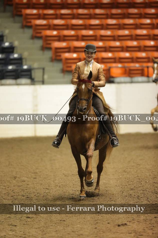 Proof 19BUCK_00493