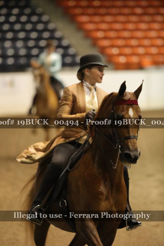 Proof 19BUCK_00494