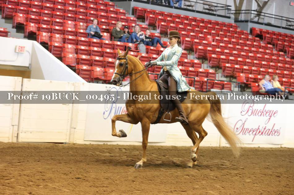 Proof 19BUCK_00495