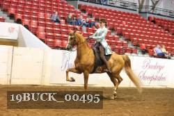 19BUCK_00495 proof