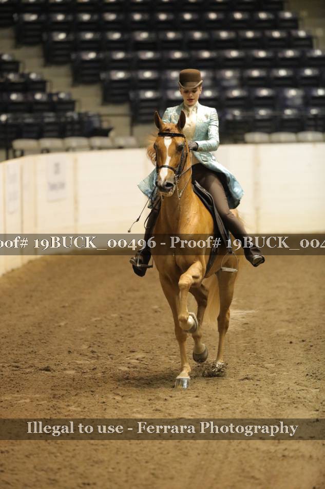 Proof 19BUCK_00496