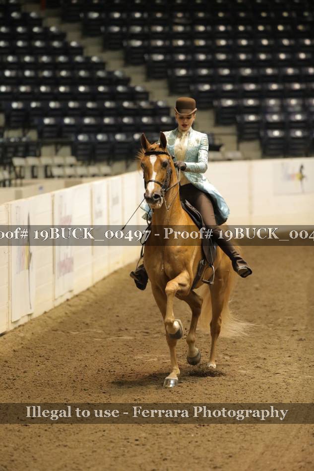 Proof 19BUCK_00497