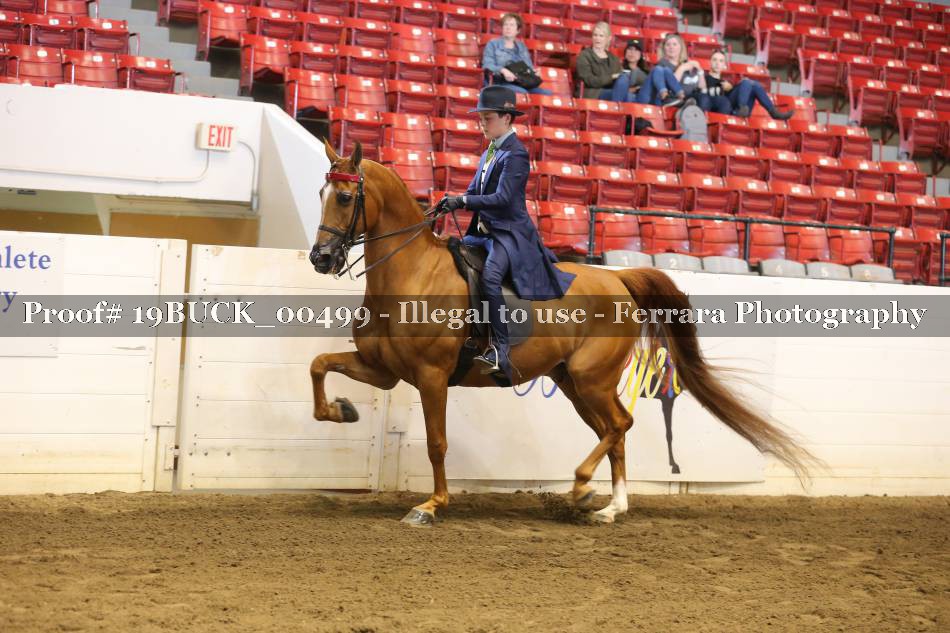 Proof 19BUCK_00499
