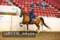 19BUCK_00499 proof