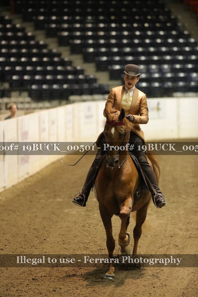 Proof 19BUCK_00501