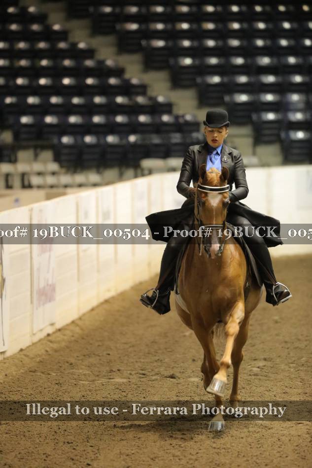 Proof 19BUCK_00504