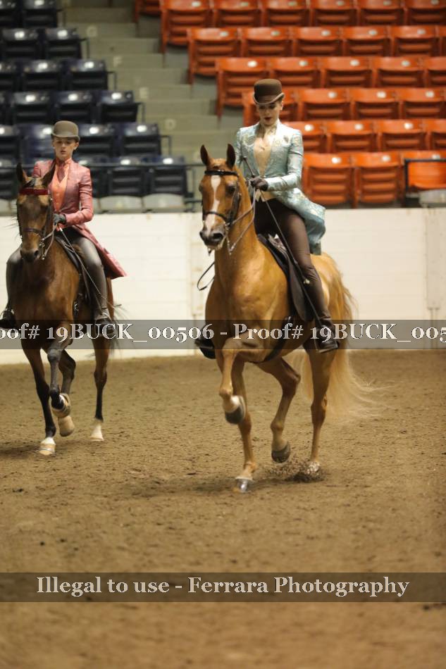 Proof 19BUCK_00506