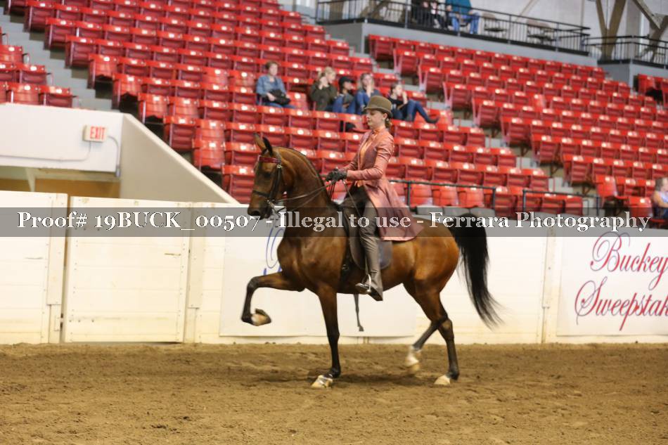 Proof 19BUCK_00507
