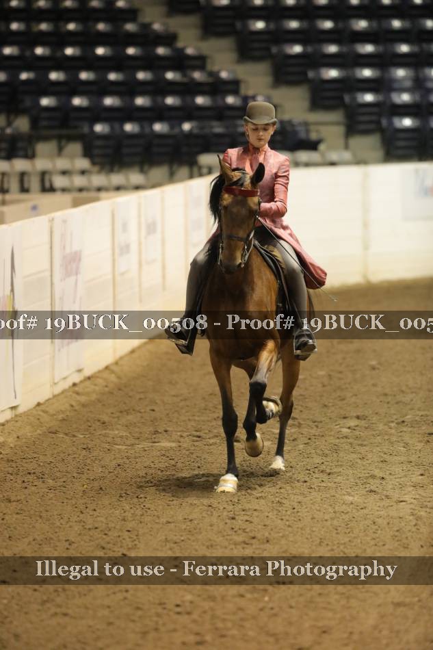 Proof 19BUCK_00508