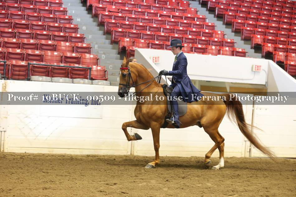 Proof 19BUCK_00509