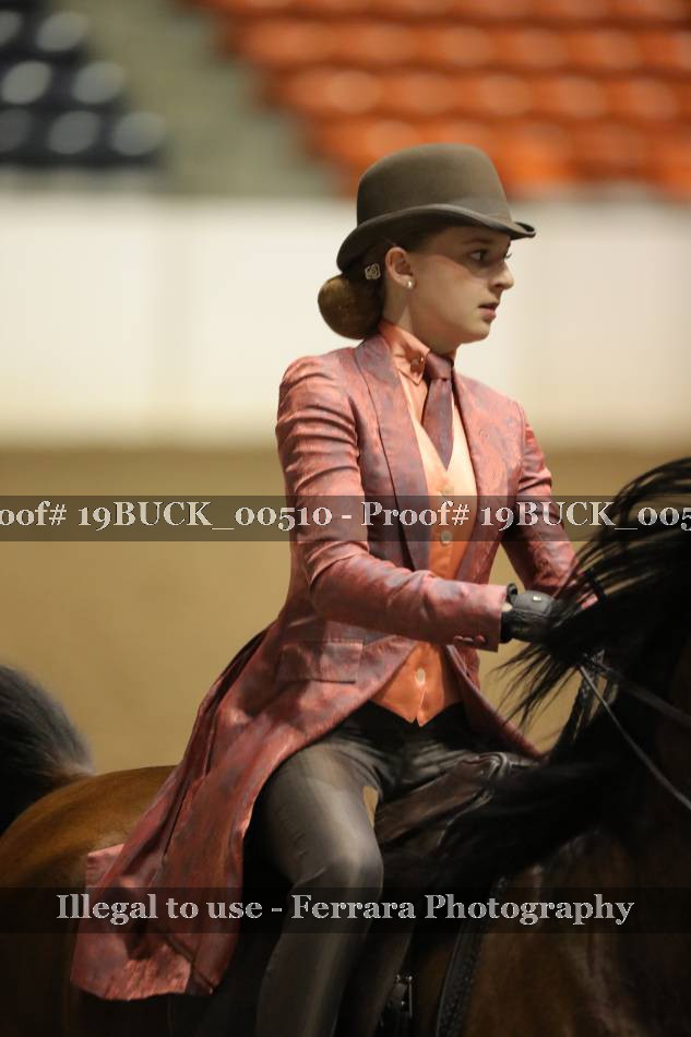 Proof 19BUCK_00510