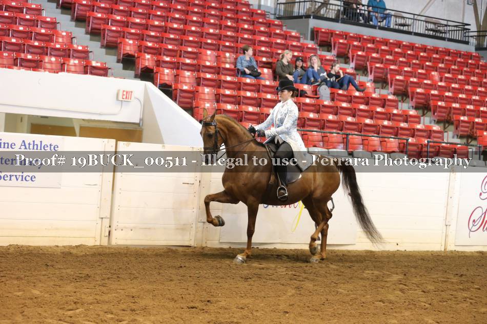 Proof 19BUCK_00511