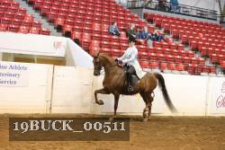 19BUCK_00511 proof