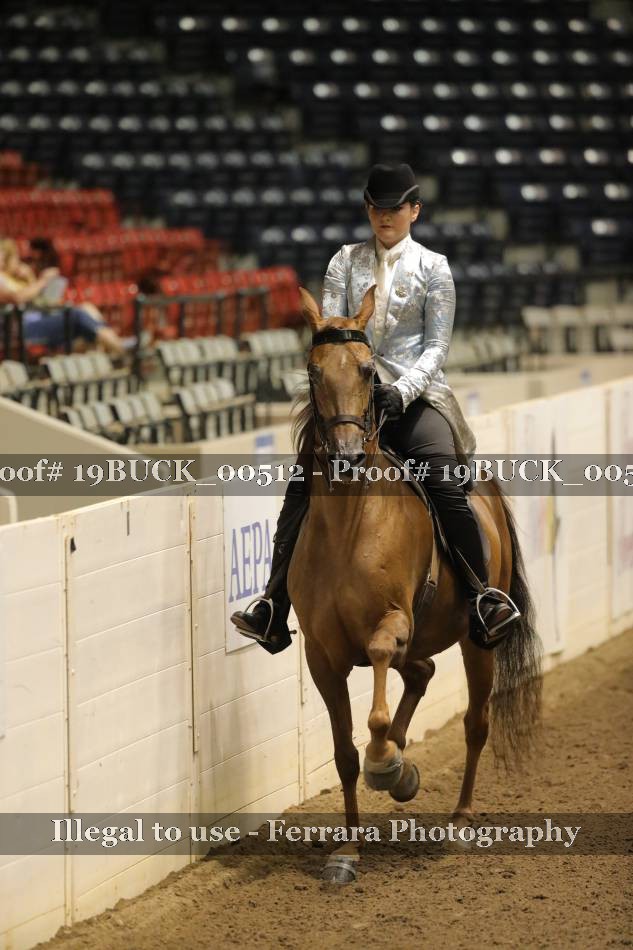 Proof 19BUCK_00512