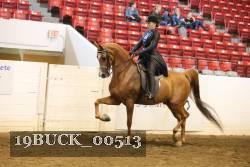 19BUCK_00513 proof