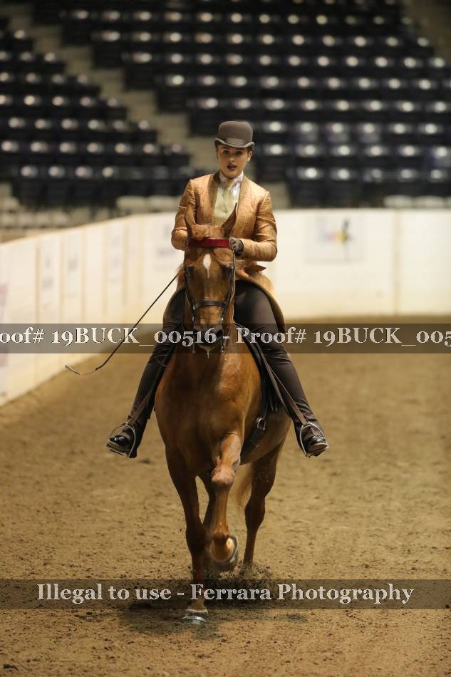 Proof 19BUCK_00516