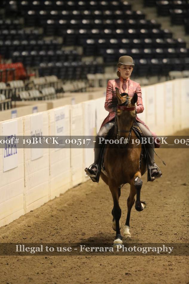 Proof 19BUCK_00517