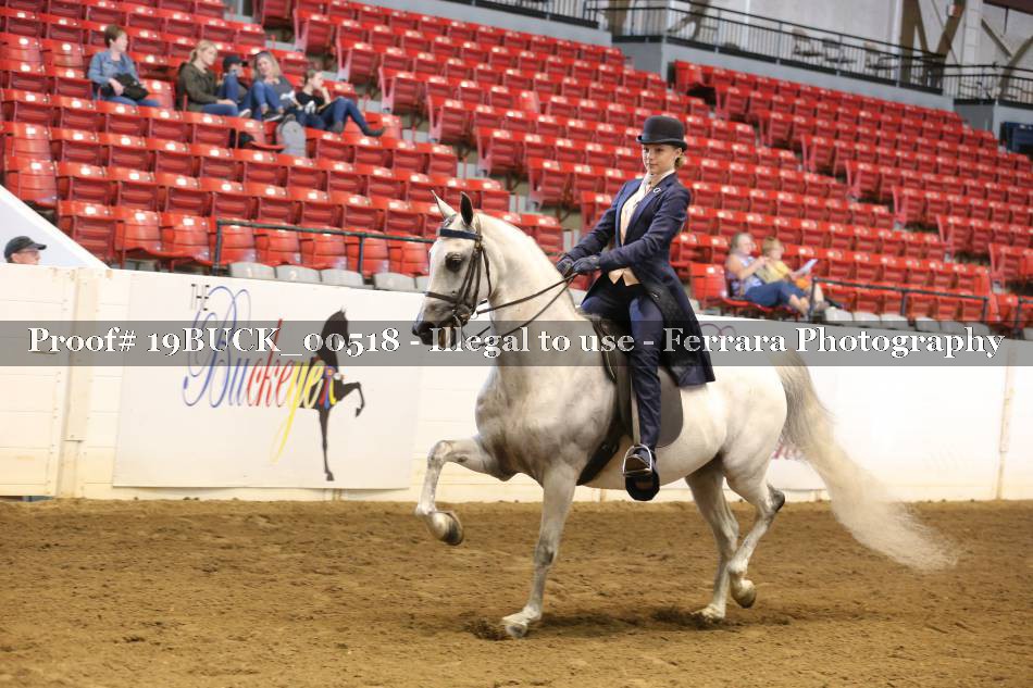 Proof 19BUCK_00518