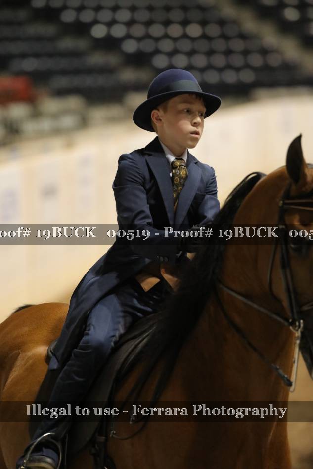 Proof 19BUCK_00519