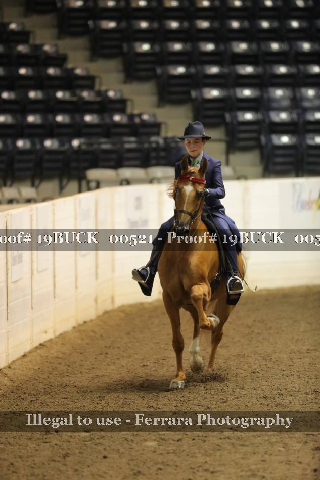 Proof 19BUCK_00521