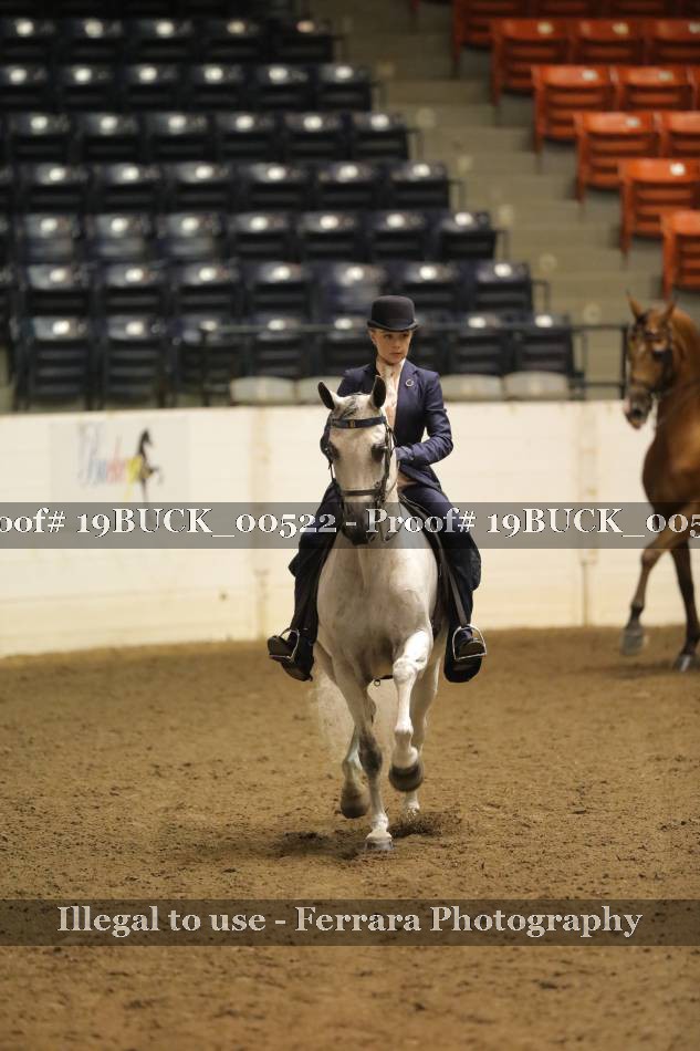 Proof 19BUCK_00522