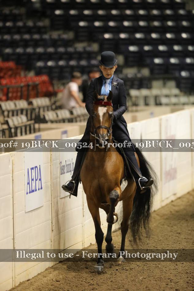 Proof 19BUCK_00524