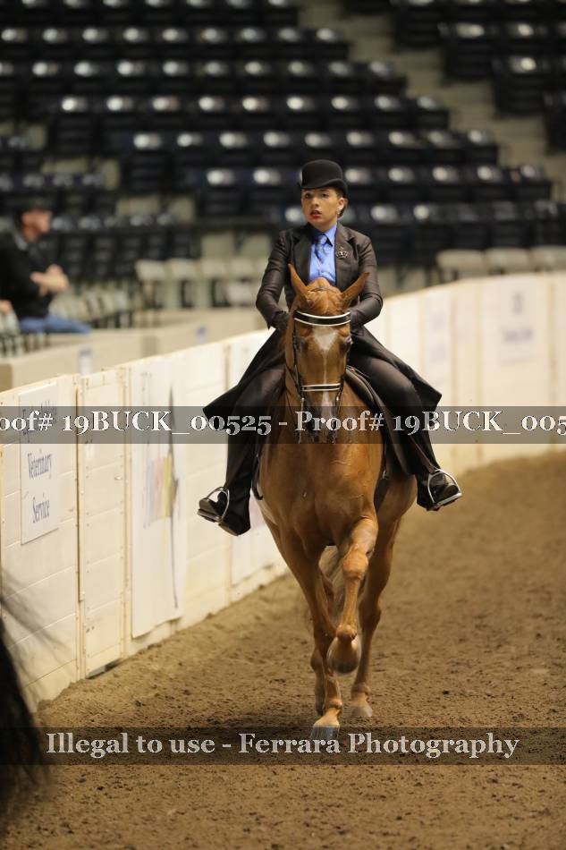 Proof 19BUCK_00525