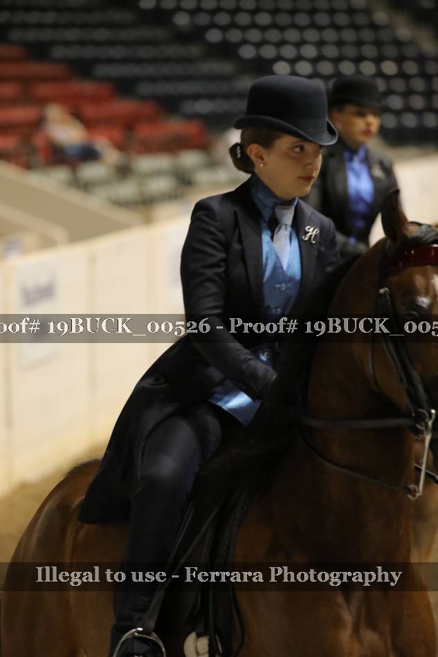 Proof 19BUCK_00526