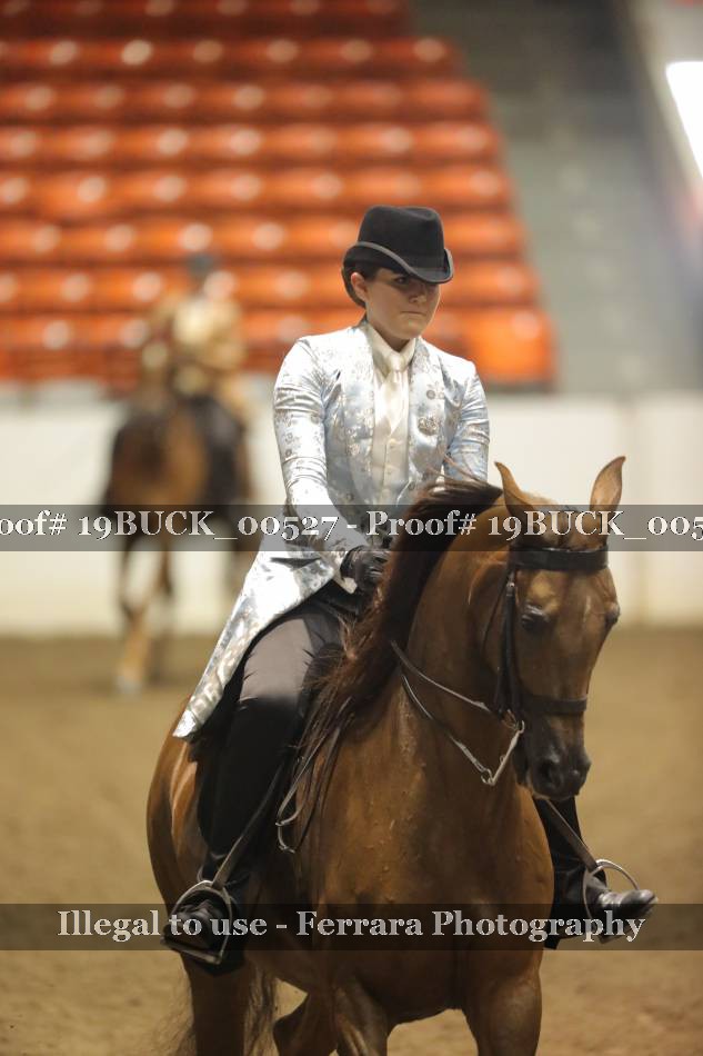 Proof 19BUCK_00527