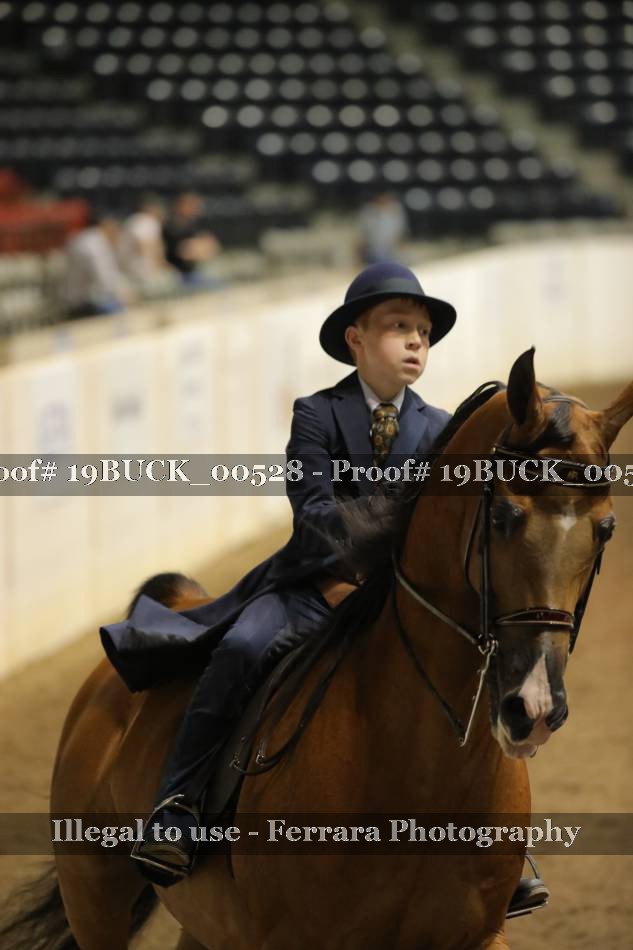 Proof 19BUCK_00528