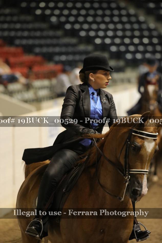 Proof 19BUCK_00529