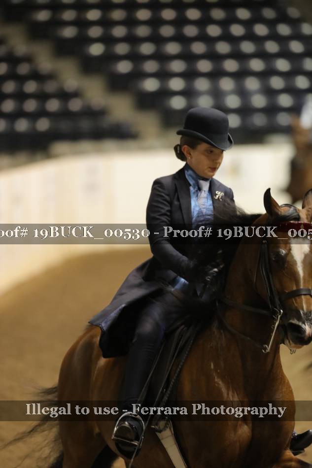 Proof 19BUCK_00530