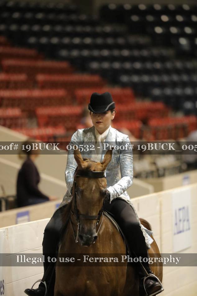 Proof 19BUCK_00532