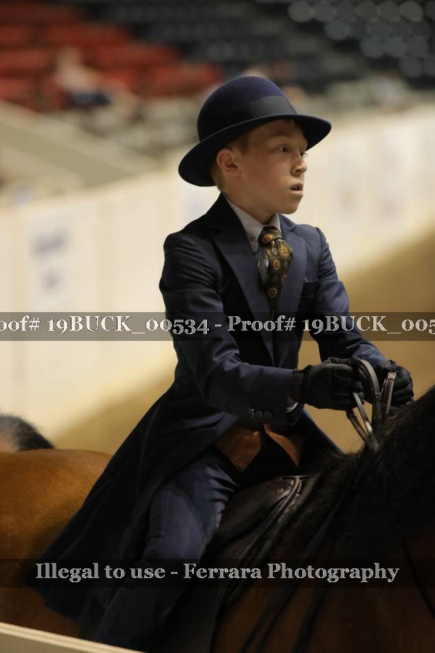 Proof 19BUCK_00534