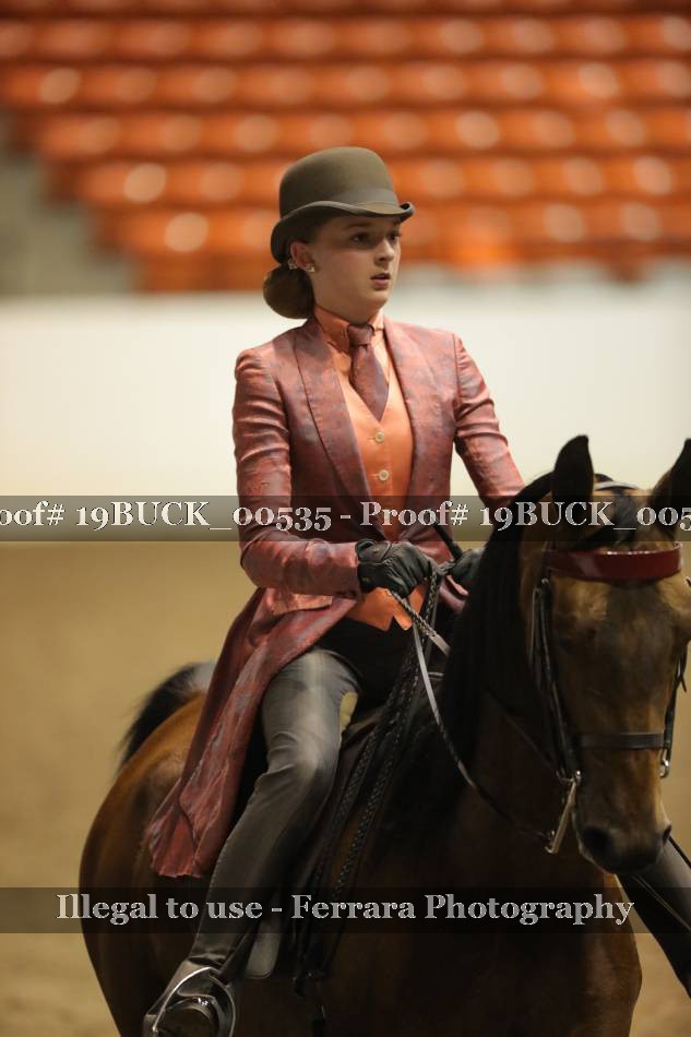 Proof 19BUCK_00535