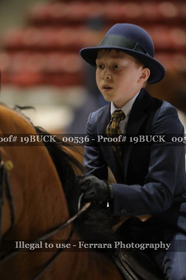 Proof 19BUCK_00536