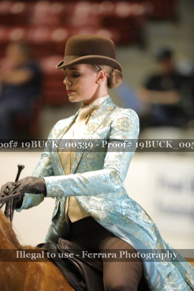 Proof 19BUCK_00539