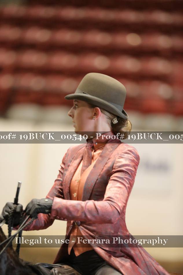 Proof 19BUCK_00540