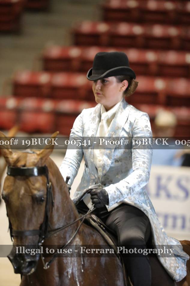 Proof 19BUCK_00541