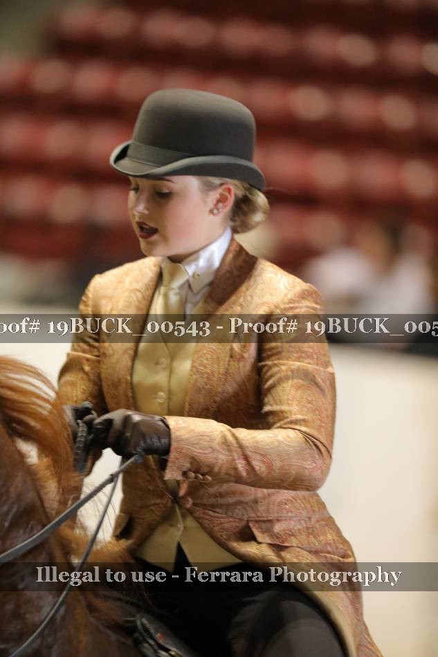 Proof 19BUCK_00543
