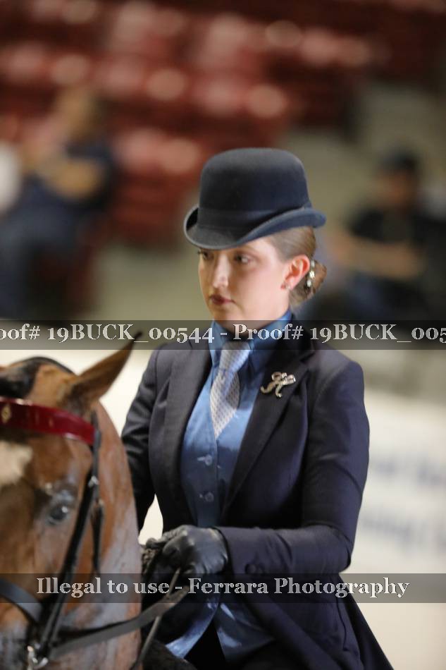 Proof 19BUCK_00544