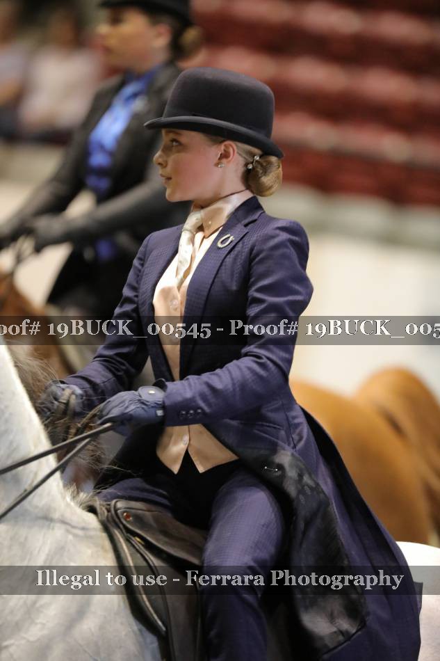 Proof 19BUCK_00545