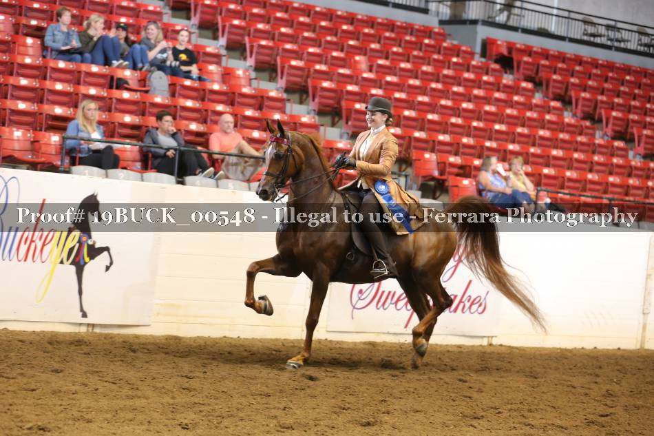 Proof 19BUCK_00548