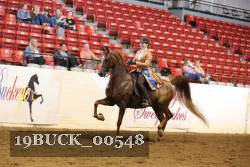 19BUCK_00548 proof
