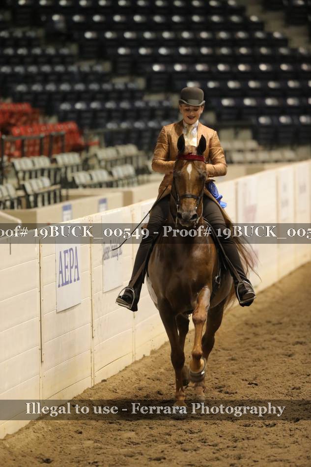 Proof 19BUCK_00549